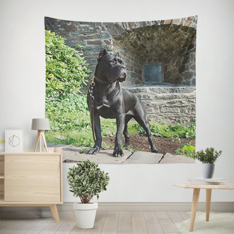 Elegance in Fourfold  Cane Corso Quartet Wall Tapestry