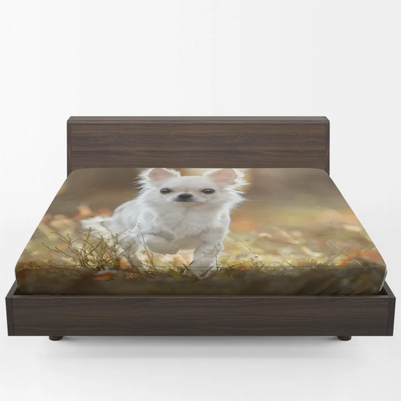 Elegance in Fourfold: Chihuahua Quartet Fitted Sheet 1