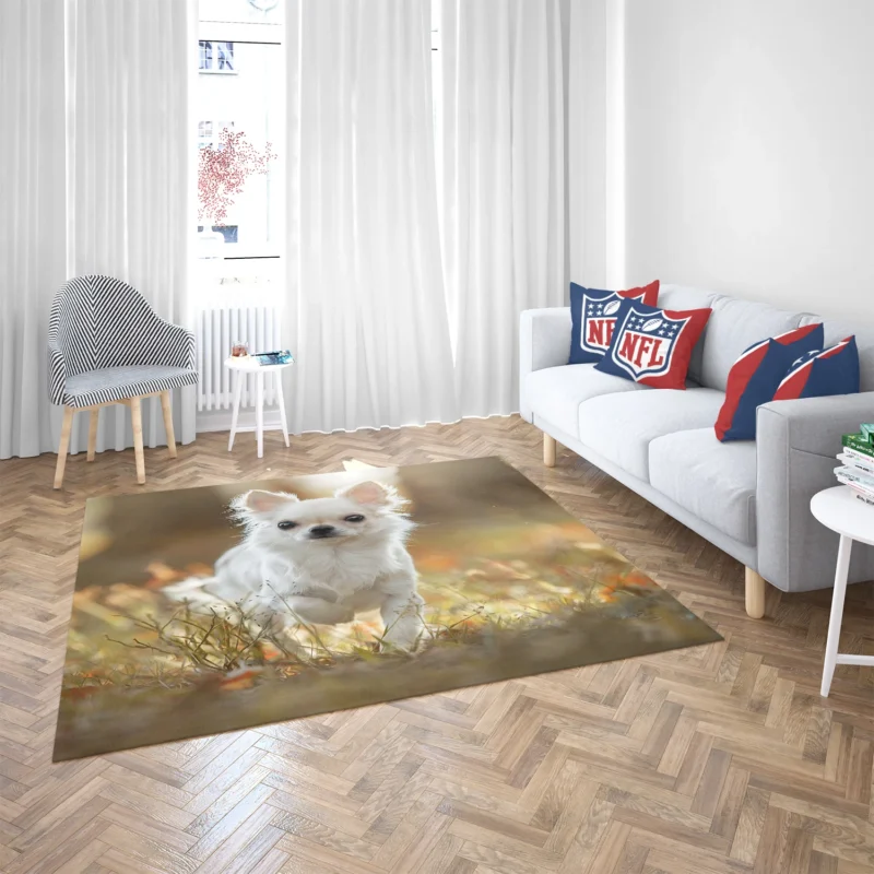 Elegance in Fourfold: Chihuahua Quartet Floor Rug 2