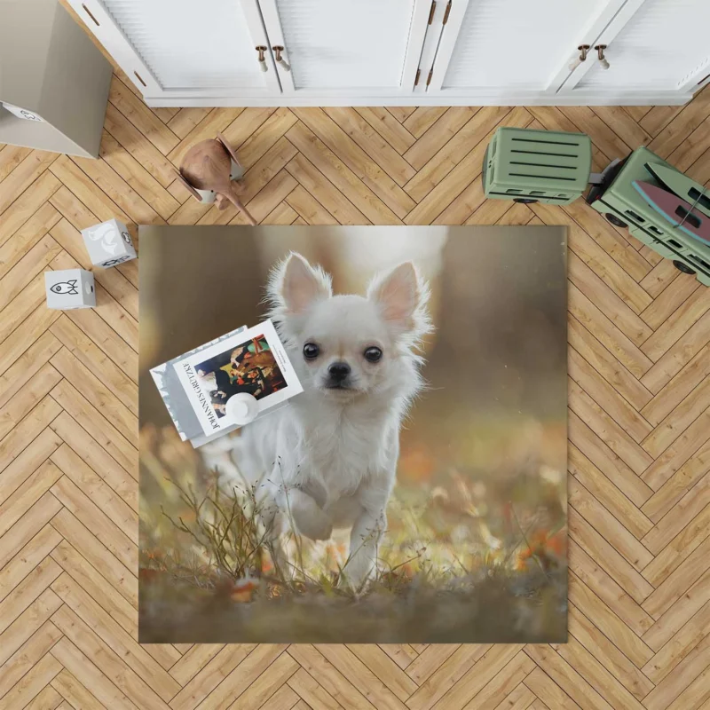 Elegance in Fourfold: Chihuahua Quartet Floor Rug