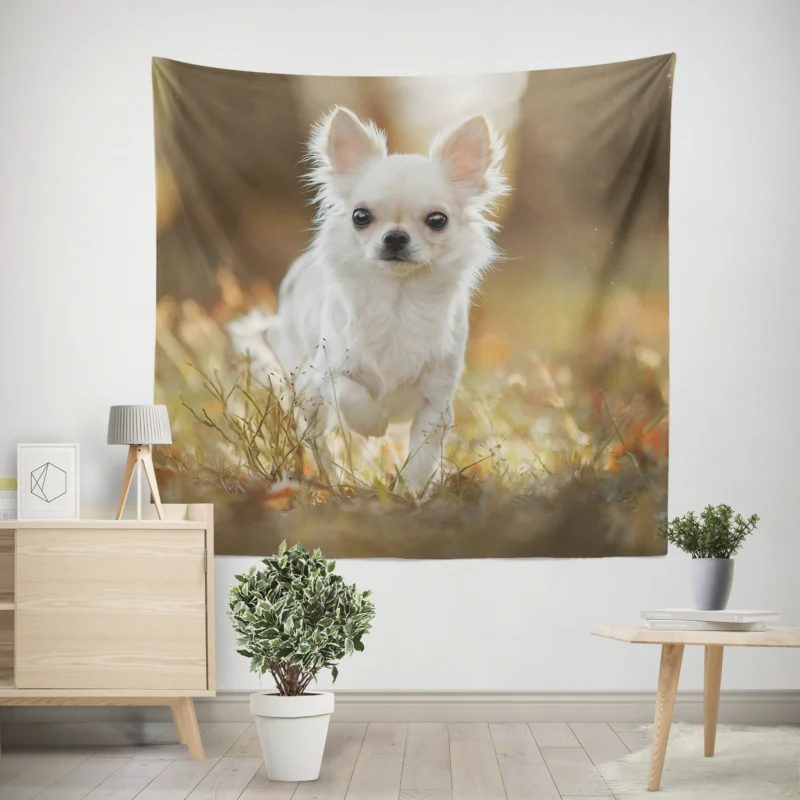 Elegance in Fourfold  Chihuahua Quartet Wall Tapestry