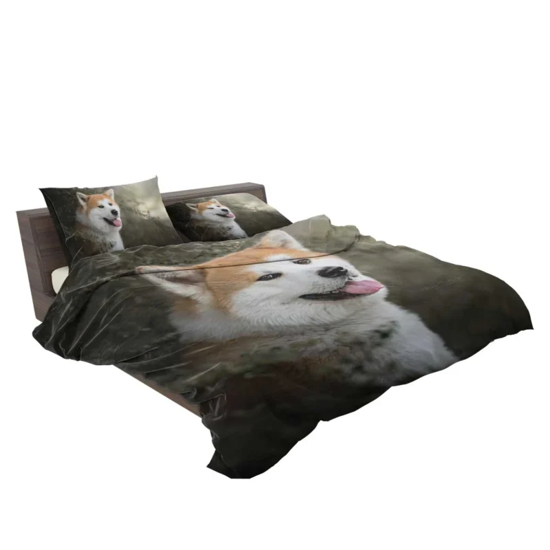 Elegance in Fourfold: The Akita Quartet Bedding Set 2