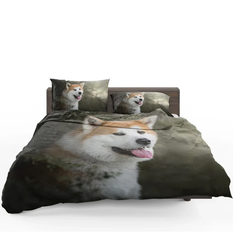 Elegance in Fourfold: The Akita Quartet Bedding Set