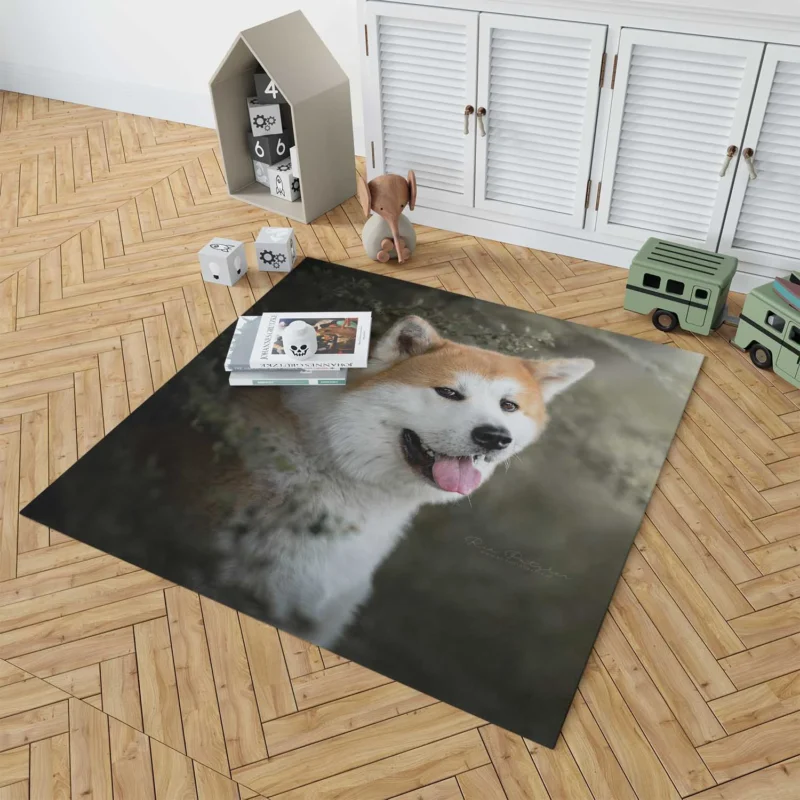 Elegance in Fourfold: The Akita Quartet Floor Rug 1