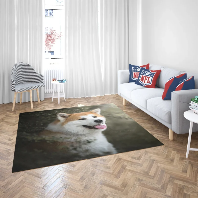 Elegance in Fourfold: The Akita Quartet Floor Rug 2