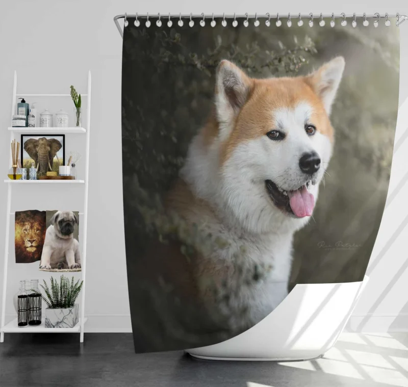 Elegance in Fourfold: The Akita Quartet Shower Curtain