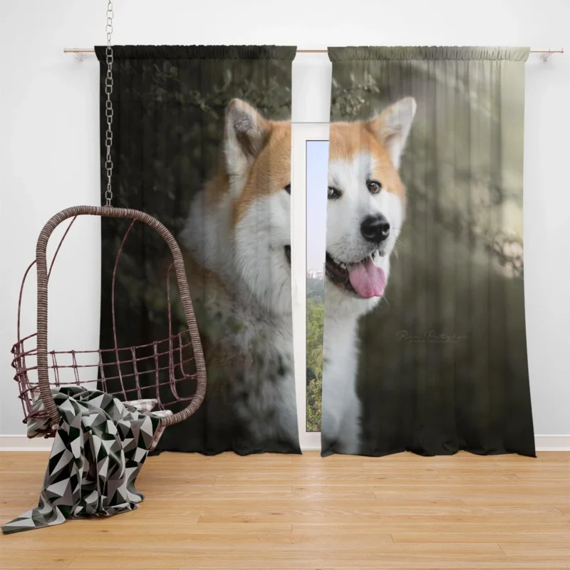 Elegance in Fourfold: The Akita Quartet Window Curtain