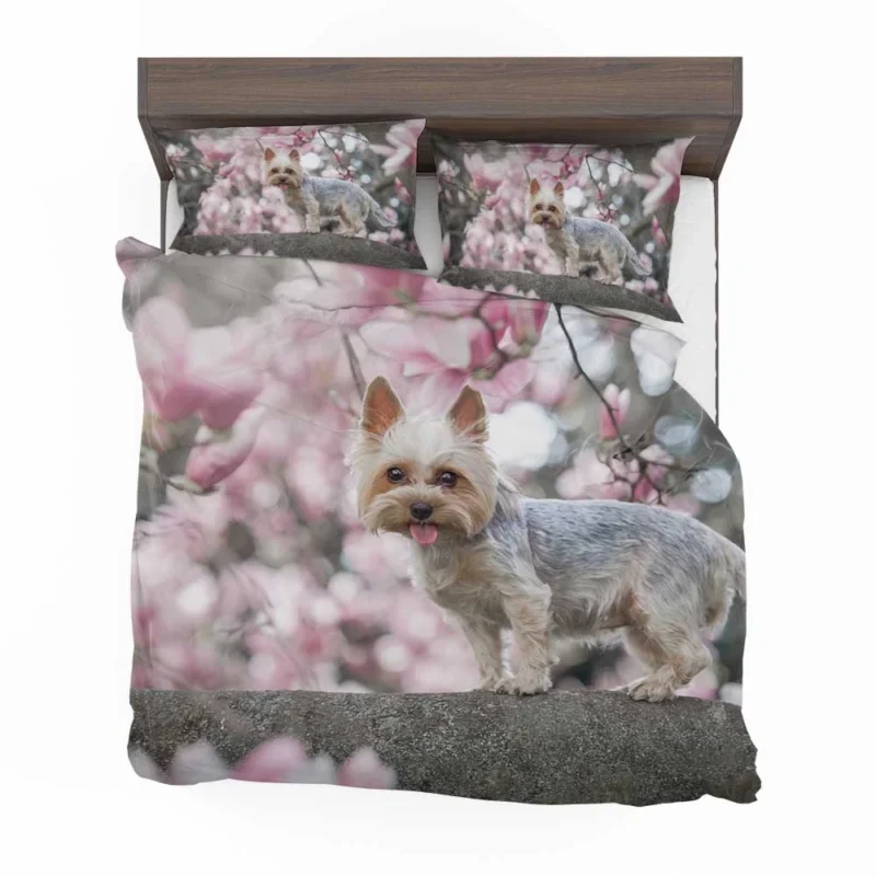 Elegance in Fur: Yorkshire Terrier Quartet Bedding Set 1