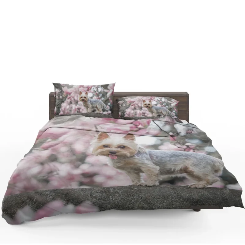 Elegance in Fur: Yorkshire Terrier Quartet Bedding Set