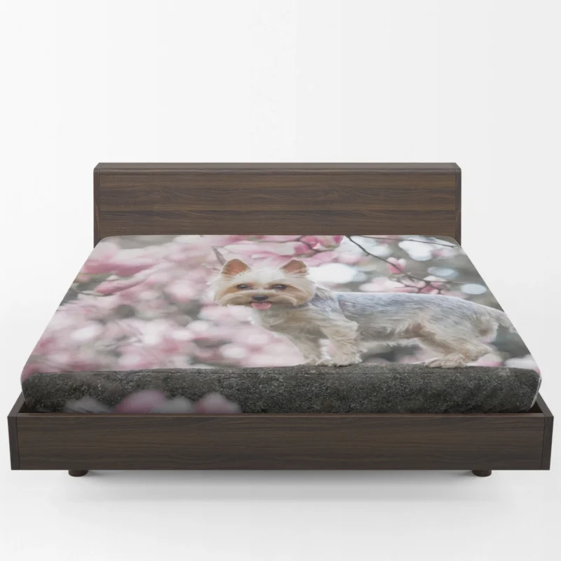 Elegance in Fur: Yorkshire Terrier Quartet Fitted Sheet 1