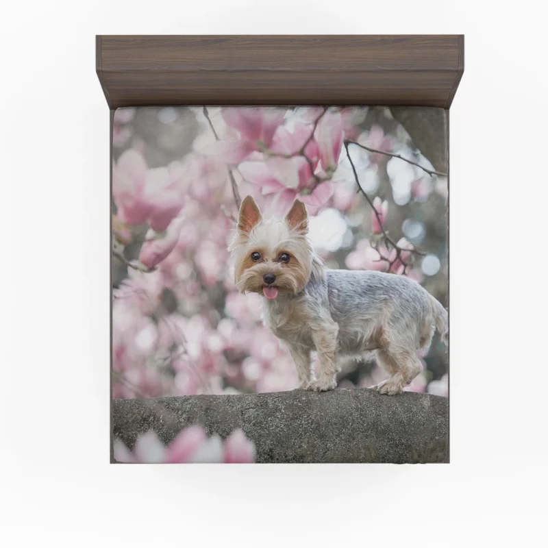 Elegance in Fur: Yorkshire Terrier Quartet Fitted Sheet