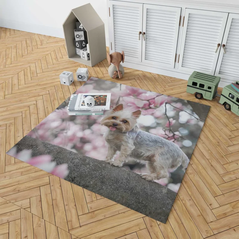 Elegance in Fur: Yorkshire Terrier Quartet Floor Rug 1