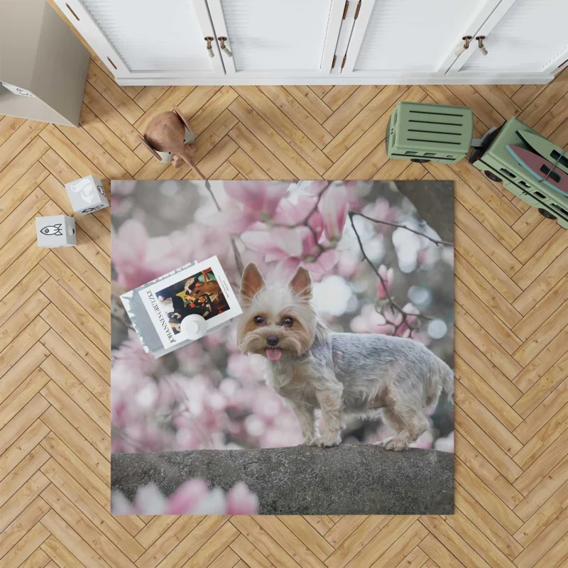 Elegance in Fur: Yorkshire Terrier Quartet Floor Rug