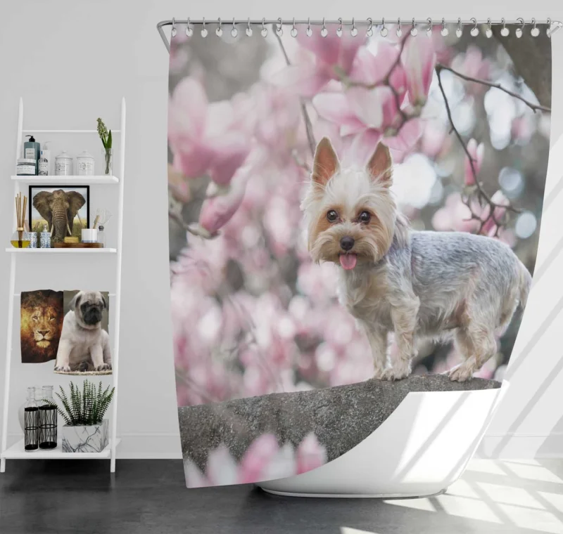 Elegance in Fur: Yorkshire Terrier Quartet Shower Curtain