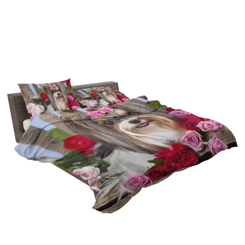 Elegance in Harmony: Silky Terrier Quartet Bedding Set 2