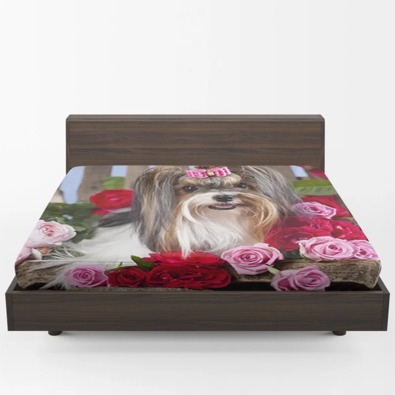 Elegance in Harmony: Silky Terrier Quartet Fitted Sheet 1