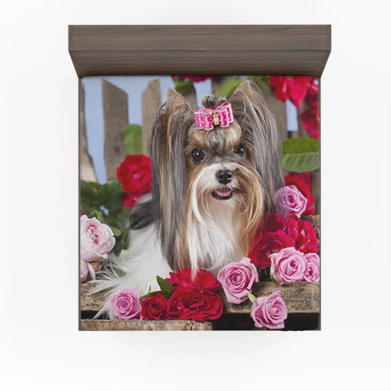 Elegance in Harmony: Silky Terrier Quartet Fitted Sheet