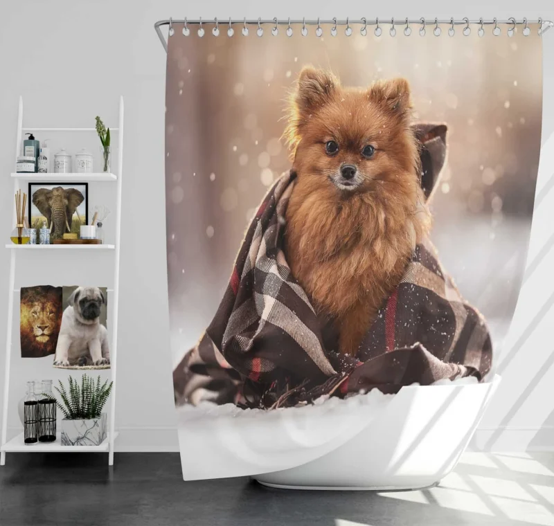 Elegance in Harmony: Spitz Quartet Shower Curtain