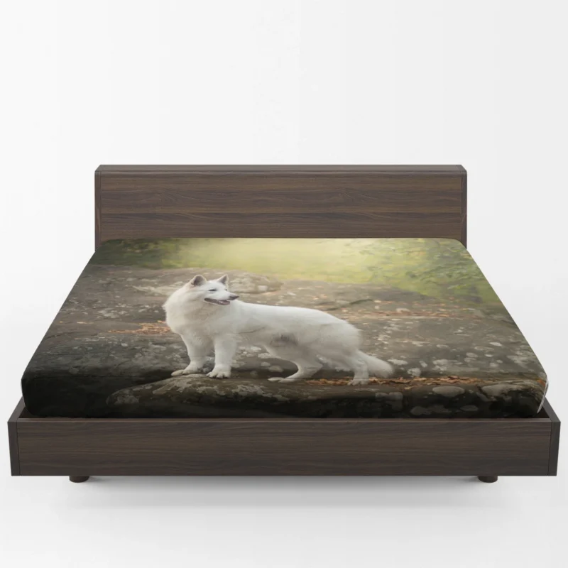 Elegance in Harmony: White Shepherd Quartet Fitted Sheet 1