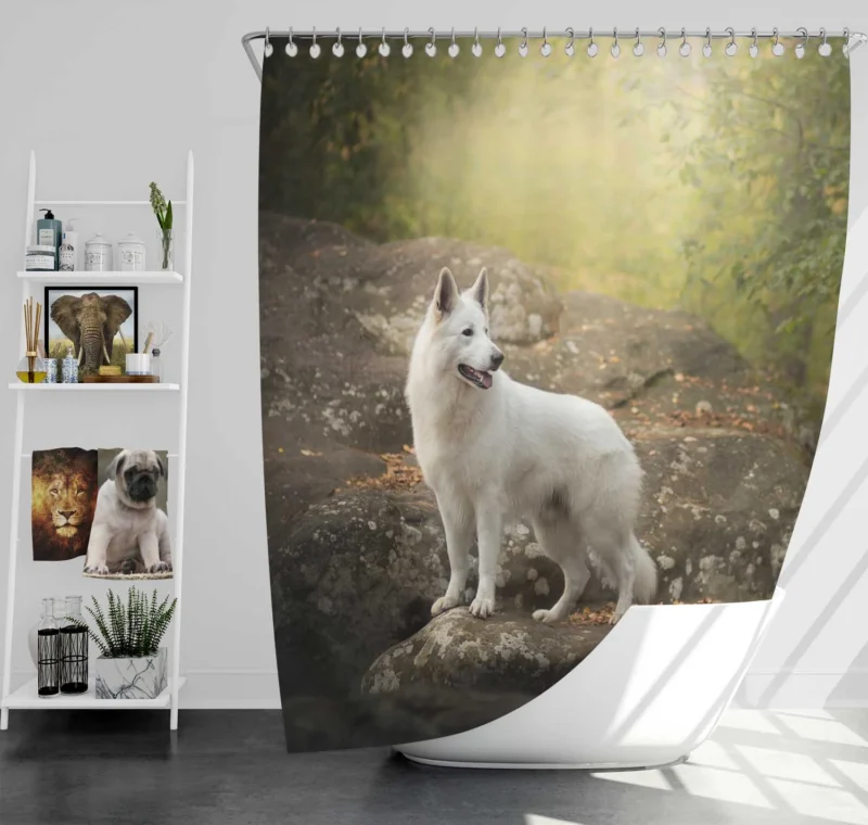 Elegance in Harmony: White Shepherd Quartet Shower Curtain