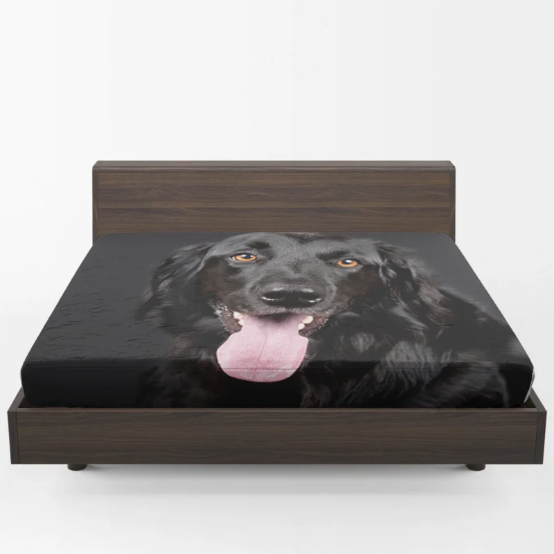 Elegance in Quartet: Hovawart Muzzle Portraits Fitted Sheet 1