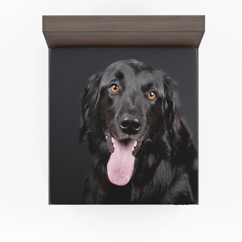 Elegance in Quartet: Hovawart Muzzle Portraits Fitted Sheet