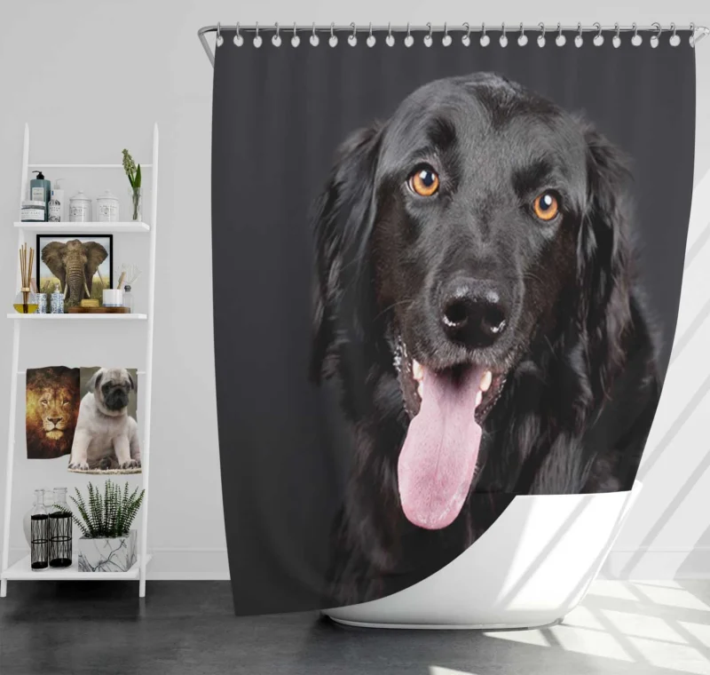 Elegance in Quartet: Hovawart Muzzle Portraits Shower Curtain