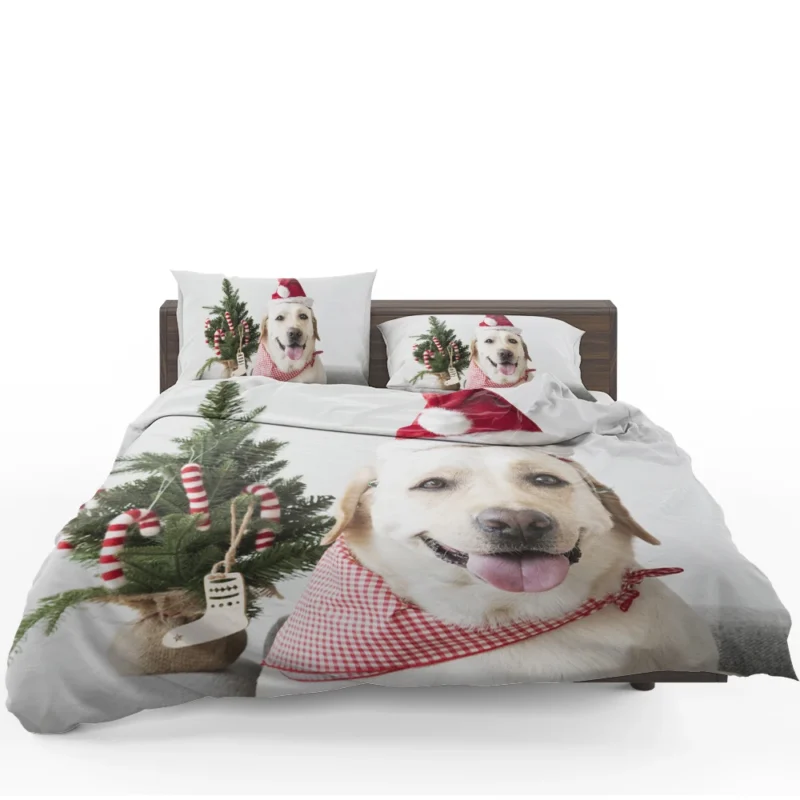 Elegance in Red Petals: Labrador Quartet Bedding Set