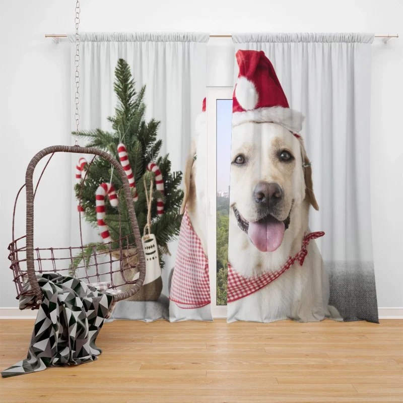 Elegance in Red Petals: Labrador Quartet Window Curtain