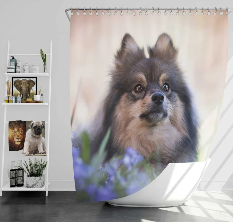 Elegance in Symmetry: Spitz Quartet Shower Curtain