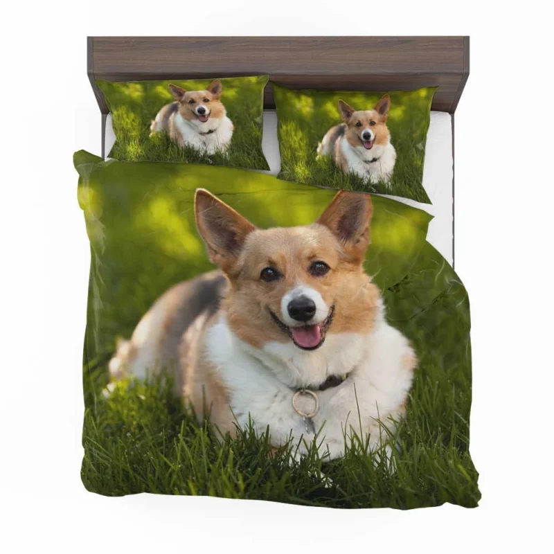 Elegant Corgi Quartet: Fourfold Beauty Bedding Set 1