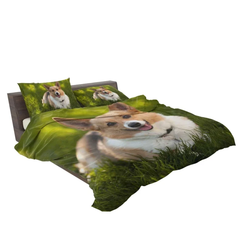 Elegant Corgi Quartet: Fourfold Beauty Bedding Set 2