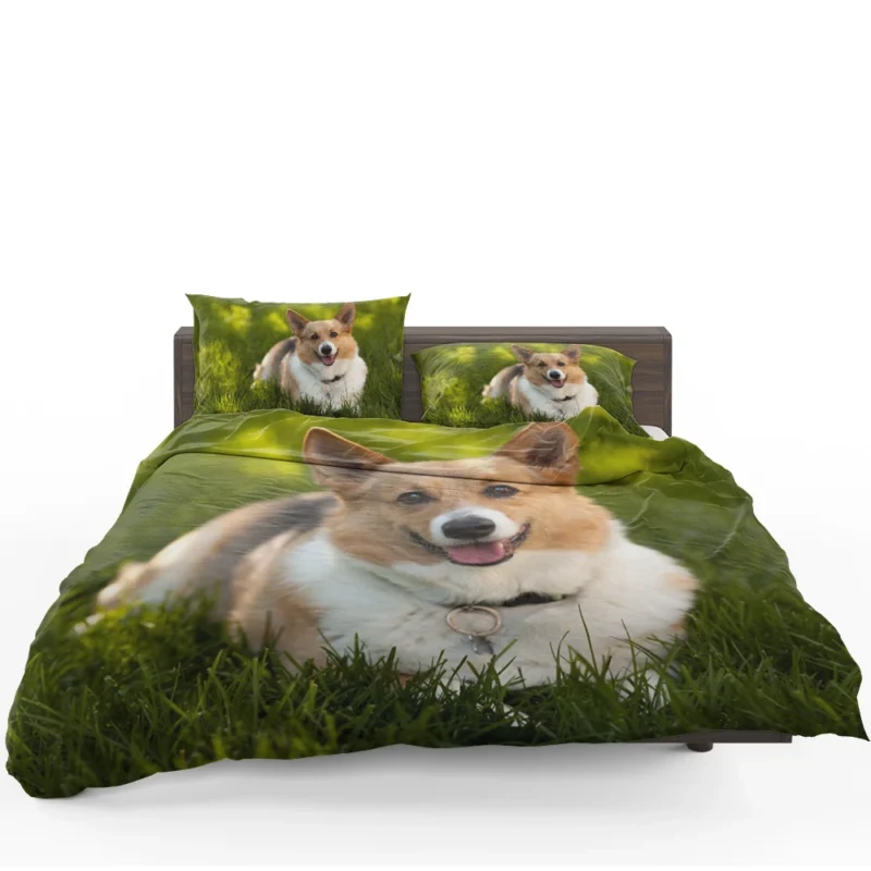 Elegant Corgi Quartet: Fourfold Beauty Bedding Set