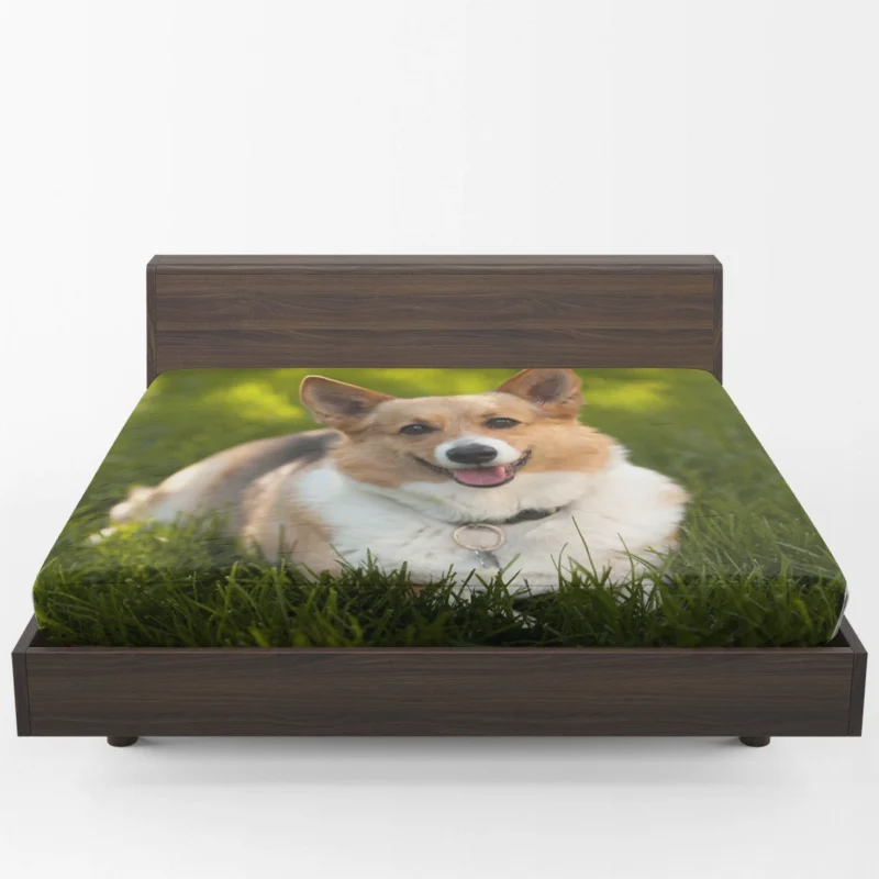 Elegant Corgi Quartet: Fourfold Beauty Fitted Sheet 1