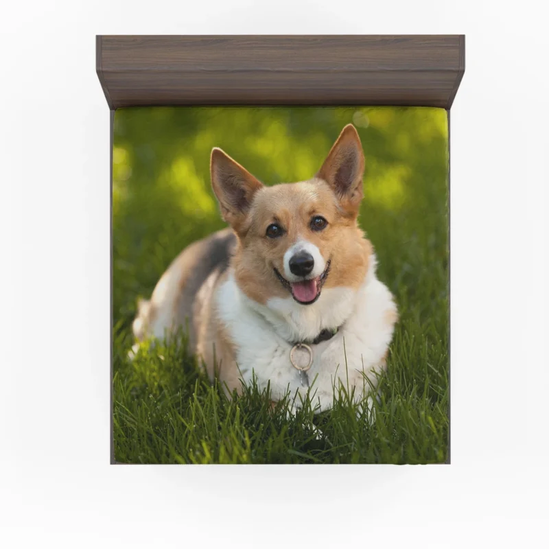 Elegant Corgi Quartet: Fourfold Beauty Fitted Sheet