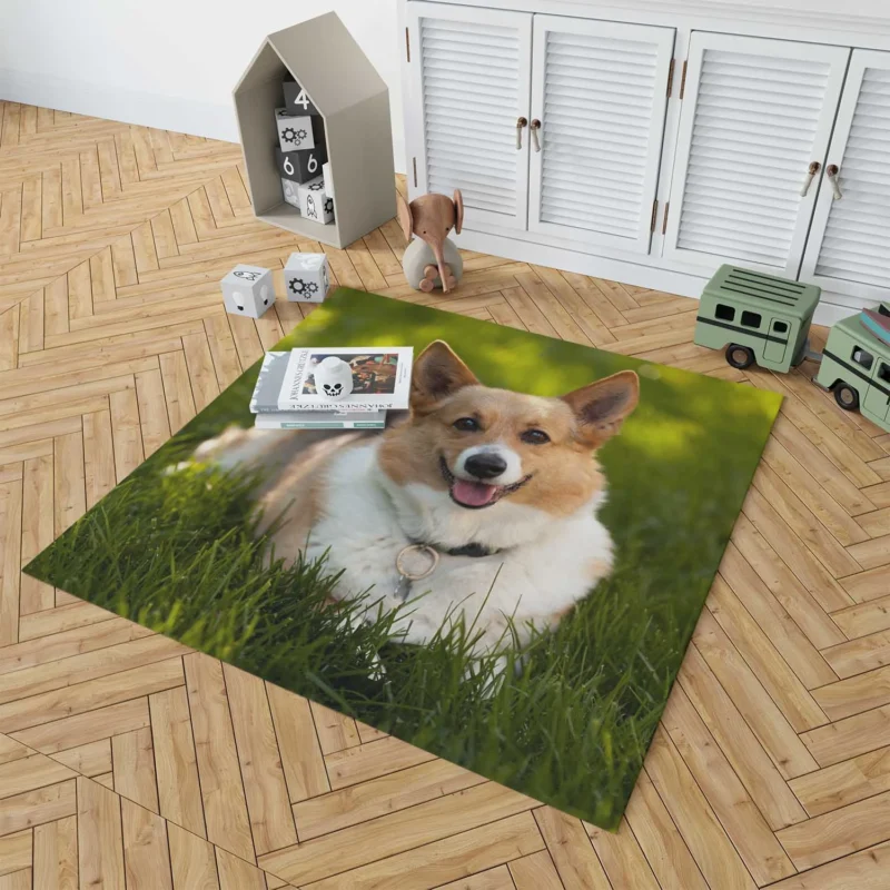 Elegant Corgi Quartet: Fourfold Beauty Floor Rug 1