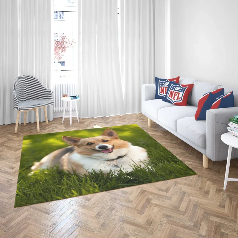 Elegant Corgi Quartet: Fourfold Beauty Floor Rug 2