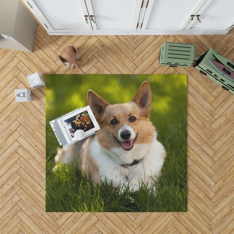 Elegant Corgi Quartet: Fourfold Beauty Floor Rug