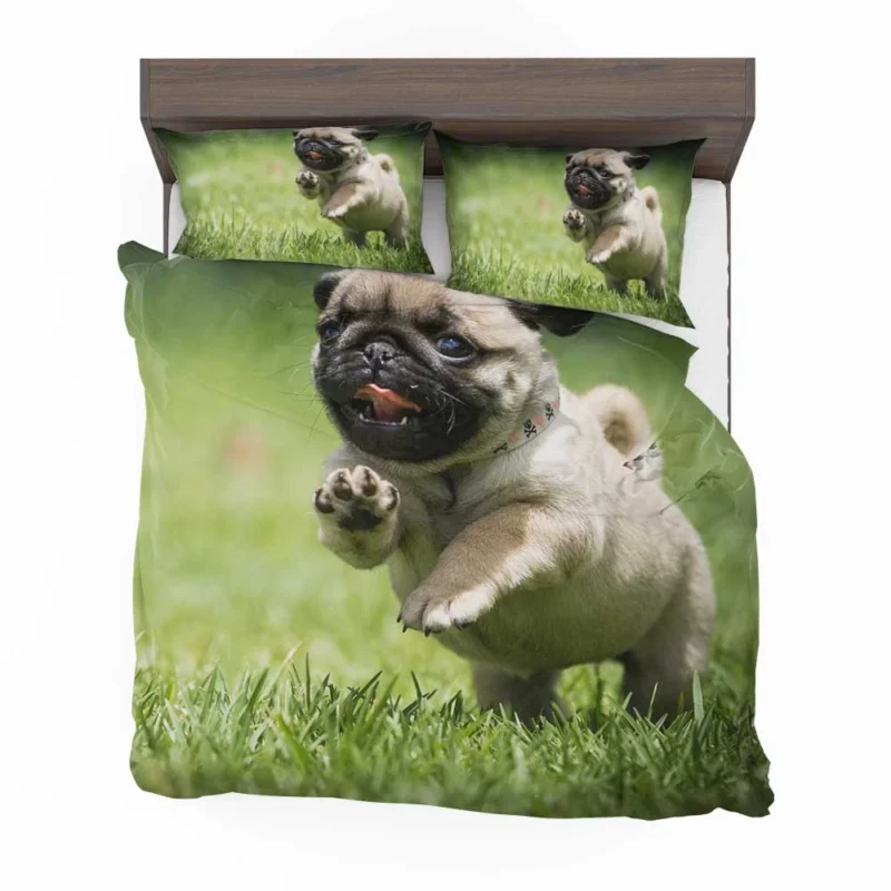 Elegant Pug Majesty: Fourfold Pug Quartet Bedding Set 1