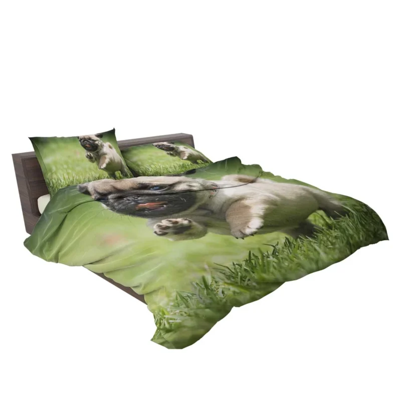 Elegant Pug Majesty: Fourfold Pug Quartet Bedding Set 2