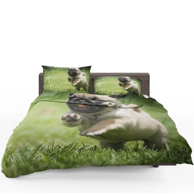 Elegant Pug Majesty: Fourfold Pug Quartet Bedding Set