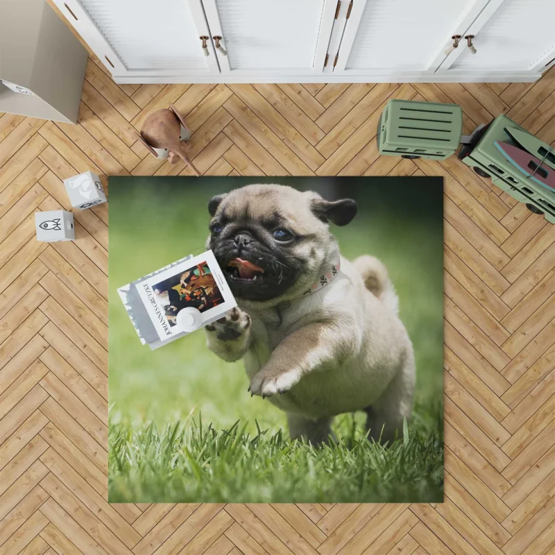 Elegant Pug Majesty: Fourfold Pug Quartet Floor Rug