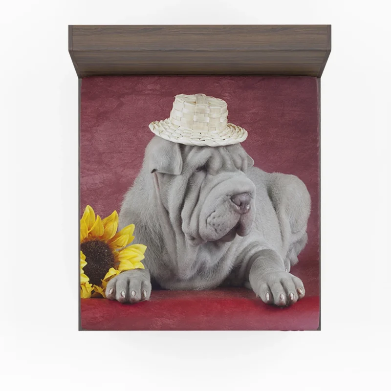 Elegant Shar Pei Ensemble: Quartet Fitted Sheet