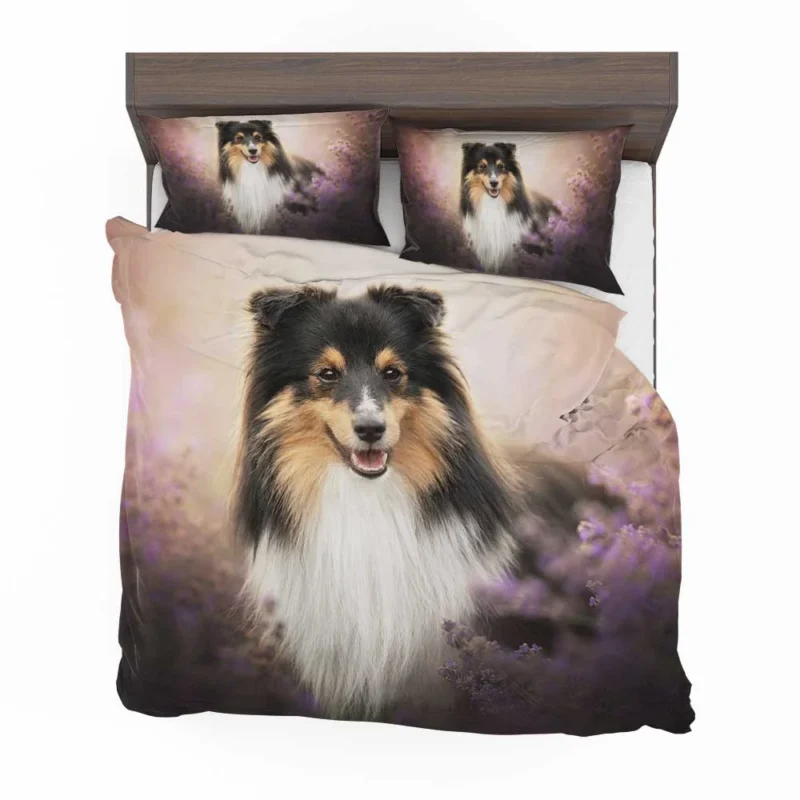 Elegant Shetland Protective Sheepdog Gathering: Quartet Bedding Set 1