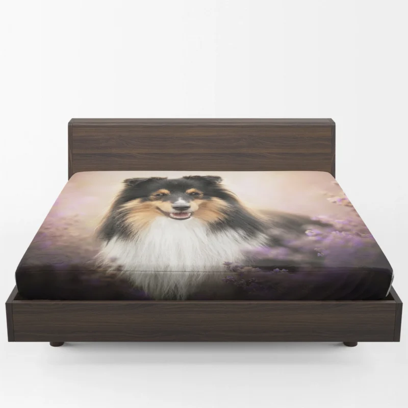 Elegant Shetland Protective Sheepdog Gathering: Quartet Fitted Sheet 1