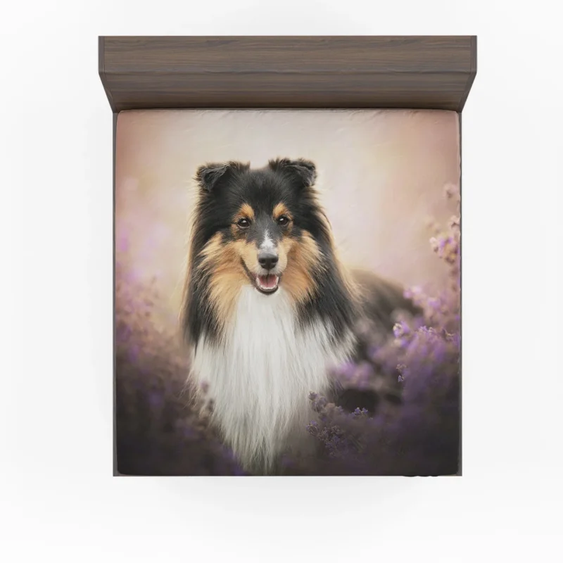 Elegant Shetland Protective Sheepdog Gathering: Quartet Fitted Sheet