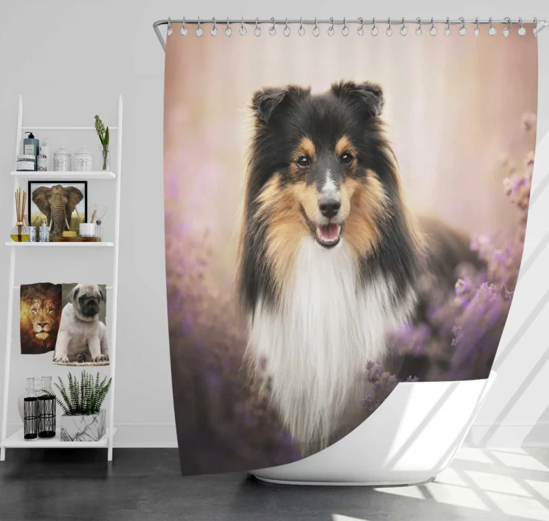 Elegant Shetland Protective Sheepdog Gathering: Quartet Shower Curtain