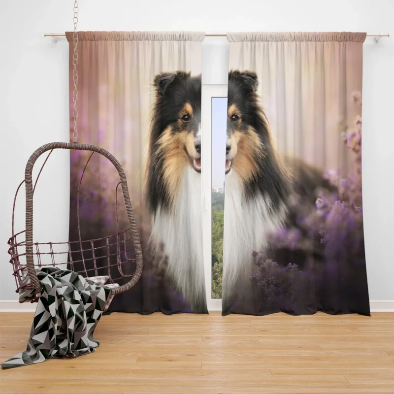 Elegant Shetland Protective Sheepdog Gathering: Quartet Window Curtain