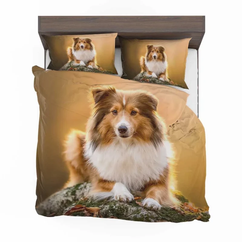 Elegant Shetland Sheepdog Gathering: Quartet Bedding Set 1