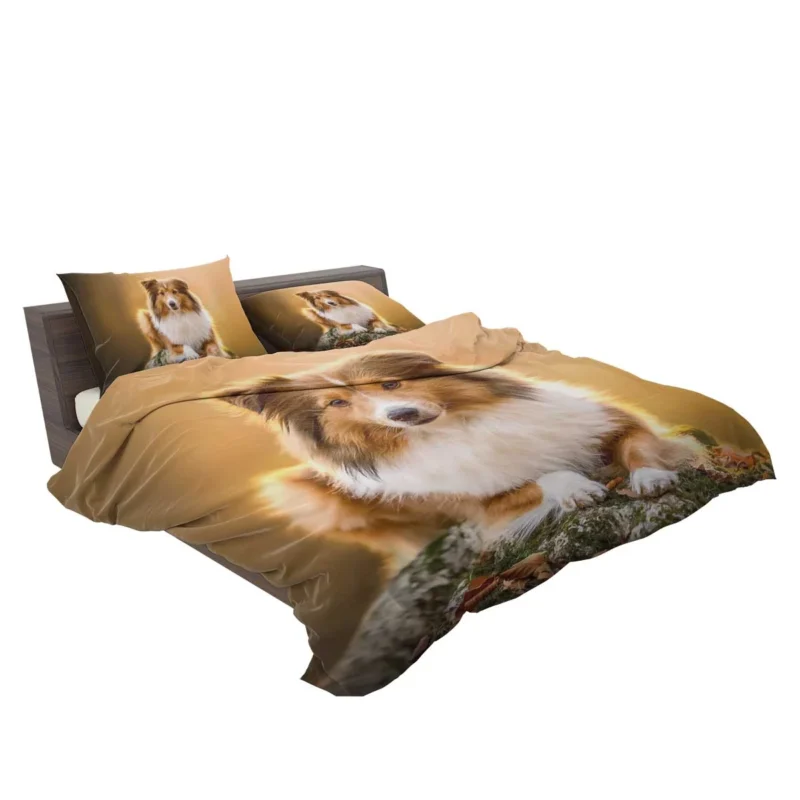 Elegant Shetland Sheepdog Gathering: Quartet Bedding Set 2